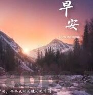 绿园足球直播比分-绿园足球直播比分，实时追踪，激情共享的数字盛宴